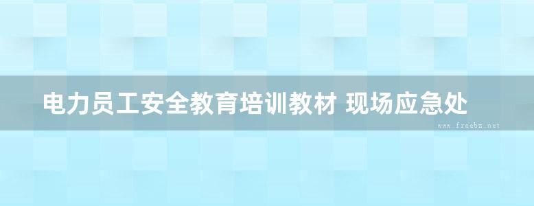 电力员工安全教育培训教材 现场应急处置